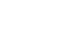 White leaves on transparent background